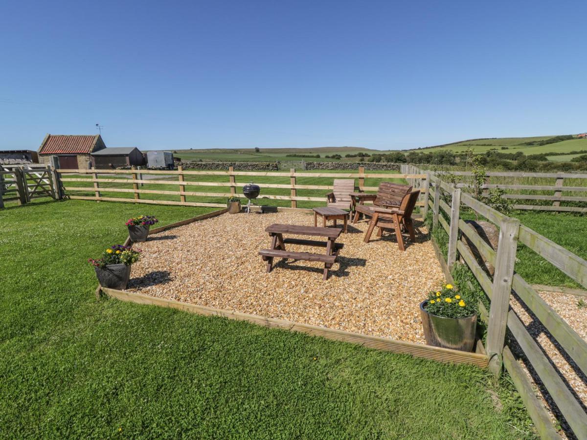 Street House Farm Cottage Saltburn-by-the-Sea Exterior photo